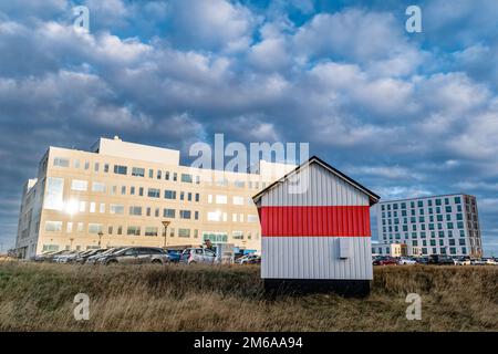 Altes Cottage-Schuppen, umgeben von neuen Bürogebäuden im Hafen von Esbjerg, Dänemark Stockfoto