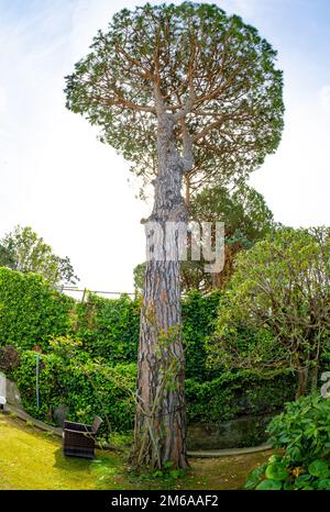 April 24 2022 - Blick auf Anacapri Italien von oben mit blauem Himmel und Meer im Hintergrund Stockfoto