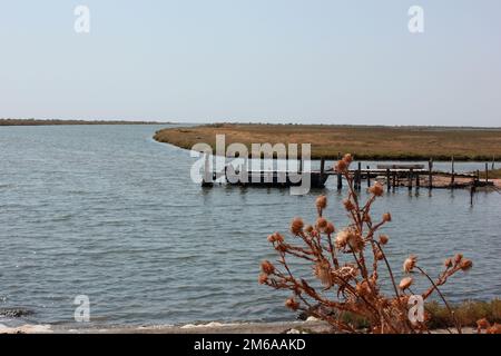 Delta Evros Nationalpark, Evros Thraki Griechenland Stockfoto