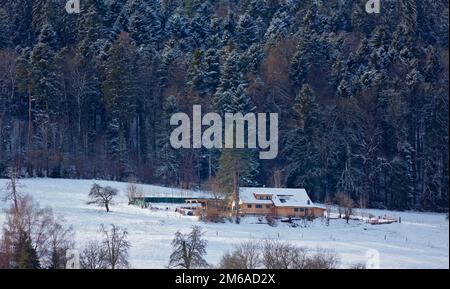 Reinach Village im Winter, Kanton Aargau, Schweiz Stockfoto