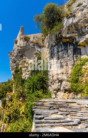Botanischer Garten (Jardin Exotique), Eze Village, Alpes Maritimes