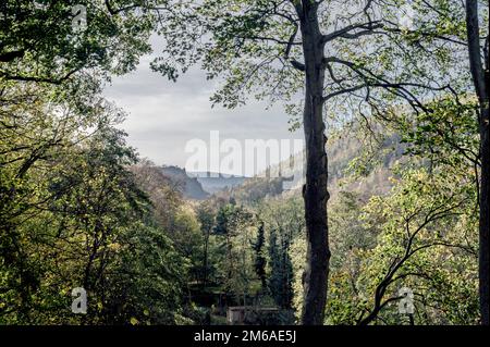 Ilsetal nahe Ilsenburg im Harz; Ilse bei Ilsenbur im Harzgebirge, Deutschland Stockfoto