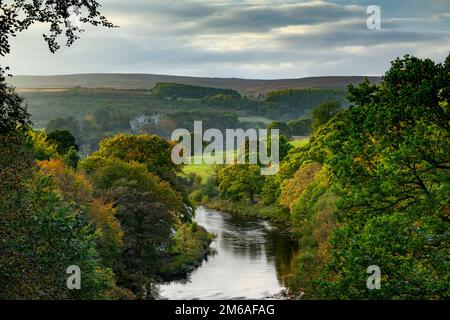 Herbstblick aus der Ferne flussaufwärts von River Wharfe, alte historische Ruinen des Barden Tower und Abendhimmel - Bolton Abbey Estate, Yorkshire Dales, England, Großbritannien. Stockfoto