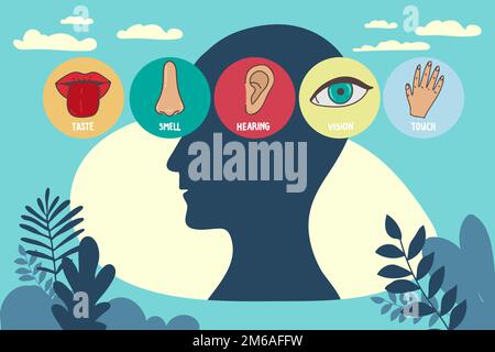 Fünf Liniensymbole für die menschlichen Sinne. Sehen, riechen, hören, berühren, schmecken. Menschliche Sinnesorgane. Augen-, Nase-, Ohr-Hand-Mund-Symbol-Set Stock Vektor