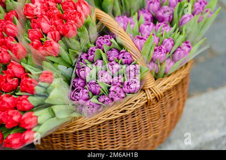 Schöne bunte Tulpen, die im Blumenladen im Freien in Vilnius, Litauen, verkauft werden Stockfoto