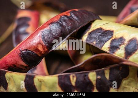 Akaziensamen auf Holzhintergrund. Schließen. Stockfoto