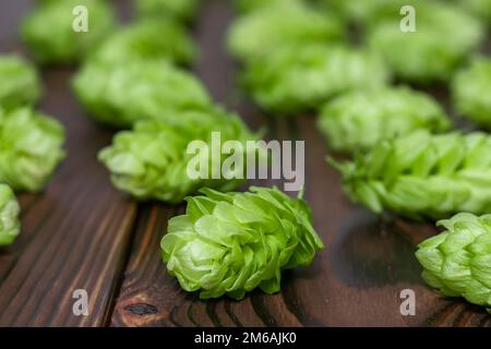 Bierbrauerzutaten, Hopfen, auf einem alten Holztisch vor der Hopfenplantage. Bierbrauereikonzept Stockfoto