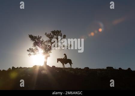 Silhouette von Cowgirl auf Pferd im letzten Licht. Stockfoto