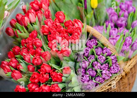 Schöne bunte Tulpen, die im Blumenladen im Freien in Vilnius, Litauen, verkauft werden Stockfoto