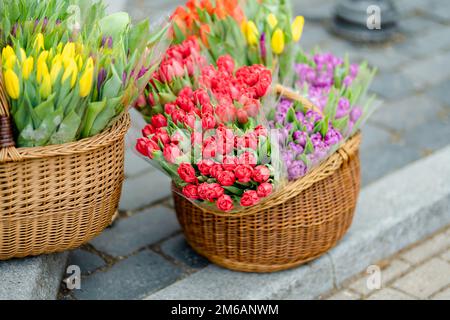 Schöne bunte Tulpen, die im Blumenladen im Freien in Vilnius, Litauen, verkauft werden Stockfoto