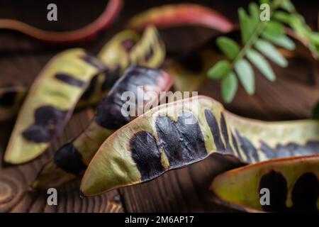 Akaziensamen. Schwarze Heuschrecke. Akazie auf Holzhintergrund. Stockfoto