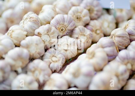 Frischer Knoblauch, der auf dem Bauernmarkt in Vilnius, Litauen, verkauft wird Stockfoto