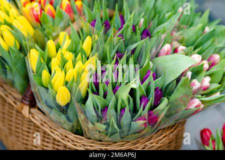 Schöne bunte Tulpen, die im Blumenladen im Freien in Vilnius, Litauen, verkauft werden Stockfoto