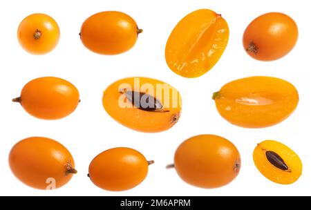 Sanddorn und Sanddorn isoliert im Weiß. Sammlung Stockfoto