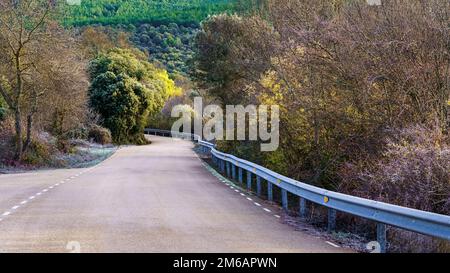 Bergstraße zwischen den goldenen Bäumen in den Farben von Herbst und Winter. Stockfoto