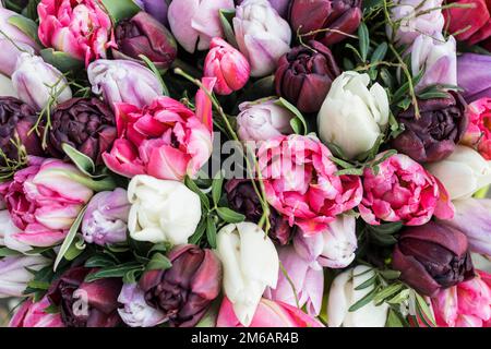 Bouquet mit bunten Tulpen Stockfoto