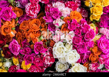 Bouquet mit bunten Rosen Stockfoto