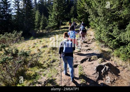 KARPATEN, UKRAINE - 8. OKTOBER 2022 Mount Hoverla. Karpaten in der Ukraine im Herbst. Touristen wandern durch Hügel und Wälder bis zum Gipfel des Hoverla Berges Stockfoto