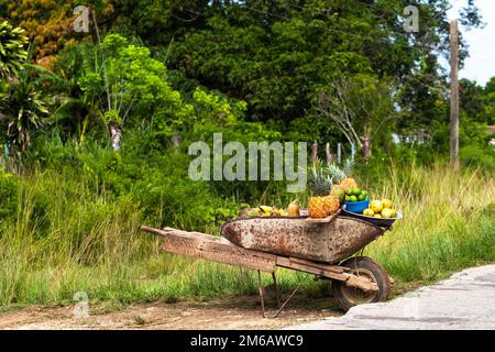 Obstverkauf auf dem Land aus Kuba Stockfoto