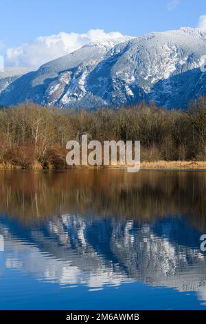 Schneebedeckte Washington Cascade Moutains spiegeln sich im See unter blauem Himmel wider Stockfoto