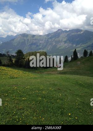 Eine malerische Aufnahme der grünen Schweizer Alpen an einem sonnigen Tag Stockfoto