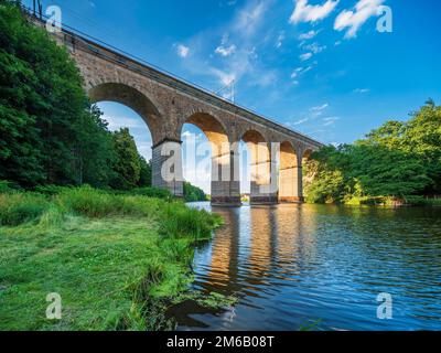 Viadukt Limmritz, Eisenbahnbrücke über den Fluss Zschopau, Doebeln, Sachsen, Deutschland Stockfoto