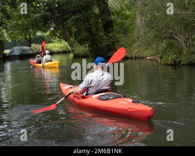 Kanutour auf der Spree im Spreewald, Brandenburg, Deutschland Stockfoto