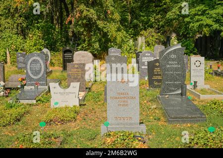 Neue Gräber, Grabsteine, jüdischer Friedhof, Herbert-Baum-Straße, Weissensee, Pankow, Berlin, Deutschland Stockfoto