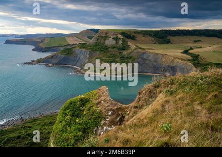 Chapman's Pool, von Emmett's Hill aus gesehen. Worth Matravers, Isle of Purbeck, Dorset, England, Großbritannien Stockfoto