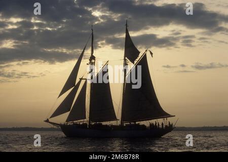 Schwedischer Navy-Schoner Gladan, Sonnenuntergang im Solent, 1990 Stockfoto