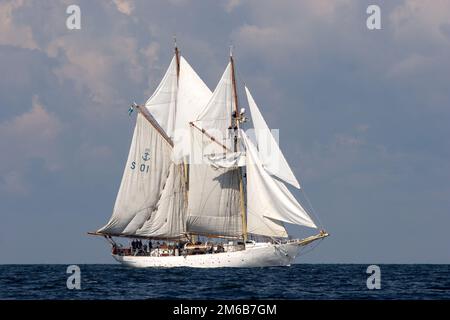 Schwedischer Navy-Schoner Gladan, 2008. Rennstart Stockfoto