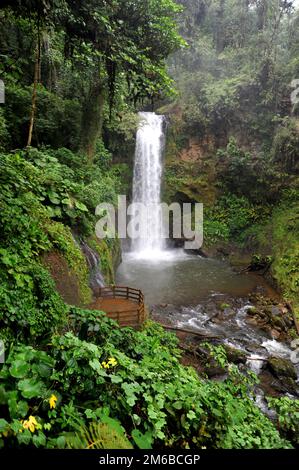 Eine ruhige Lage im Costa-ricanischen Regenwald mit einem spektakulären Blick auf einen Wasserfall. Stockfoto