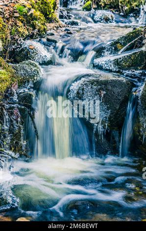 Die Strömung des Wassers im Frühjahr von Eiszapfen und Eis Stockfoto