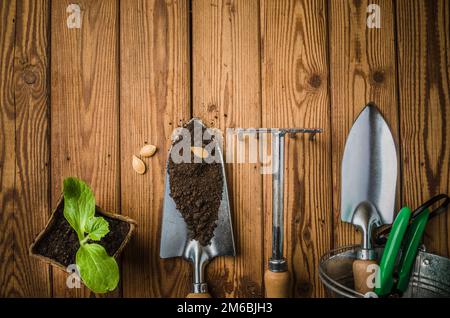 Stillleben mit Sprossen und Gartenwerkzeug, Draufsicht Stockfoto