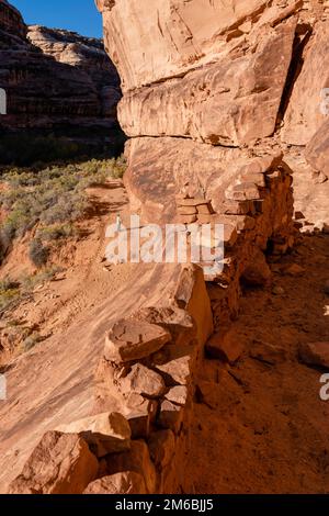 Burgruine. Rucksacktouren in Grand Gulch und Anasazi-Wohnungen und Felskunst. In Der Nähe Von Blanding, Utah, Usa. Stockfoto