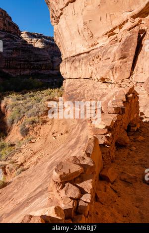 Burgruine. Rucksacktouren in Grand Gulch und Anasazi-Wohnungen und Felskunst. In Der Nähe Von Blanding, Utah, Usa. Stockfoto