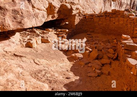 Burgruine. Rucksacktouren in Grand Gulch und Anasazi-Wohnungen und Felskunst. In Der Nähe Von Blanding, Utah, Usa. Stockfoto