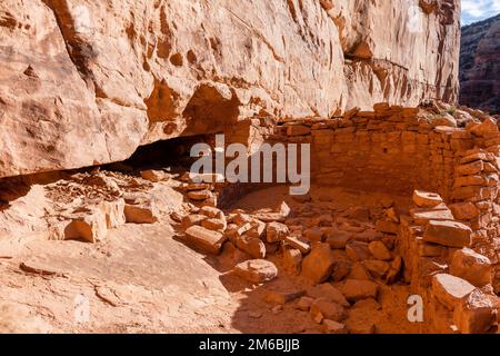 Burgruine. Rucksacktouren in Grand Gulch und Anasazi-Wohnungen und Felskunst. In Der Nähe Von Blanding, Utah, Usa. Stockfoto