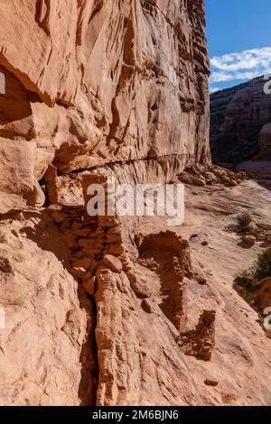 Burgruine. Rucksacktouren in Grand Gulch und Anasazi-Wohnungen und Felskunst. In Der Nähe Von Blanding, Utah, Usa. Stockfoto