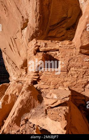 Burgruine. Rucksacktouren in Grand Gulch und Anasazi-Wohnungen und Felskunst. In Der Nähe Von Blanding, Utah, Usa. Stockfoto