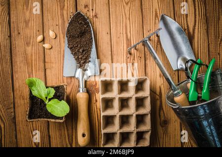 Stillleben mit Sprossen und Gartenwerkzeug, Draufsicht Stockfoto