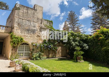 Wunderschöne Kalksteinmauer mit Weinreben vor der Gemeinde Naxxar, Blick vom Palazzo Parisio, Naxxar, Malta, Europa. Juni Stockfoto