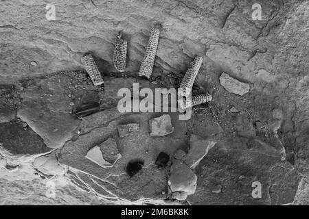 Gefängnisruinierung. Rucksacktouren in Grand Gulch und Anasazi-Wohnungen und Felskunst. In Der Nähe Von Blanding, Utah, Usa. Stockfoto