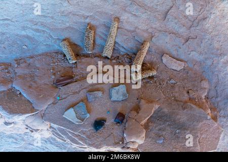 Gefängnisruinierung. Rucksacktouren in Grand Gulch und Anasazi-Wohnungen und Felskunst. In Der Nähe Von Blanding, Utah, Usa. Stockfoto