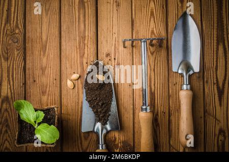 Stillleben mit Sprossen und Gartenwerkzeug, Draufsicht Stockfoto