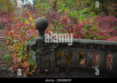 Heller Herbst in der alten Burg Stockfoto