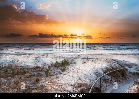 Bild einer Kaffeebohne aus granuliertem Kaffee und Bohnen Stockfoto