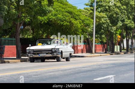 Amerikanischer weißer Cadillac-Klassiker caron die Straße in Varadero Cuba - Serie Kuba 2016 Reportage Stockfoto