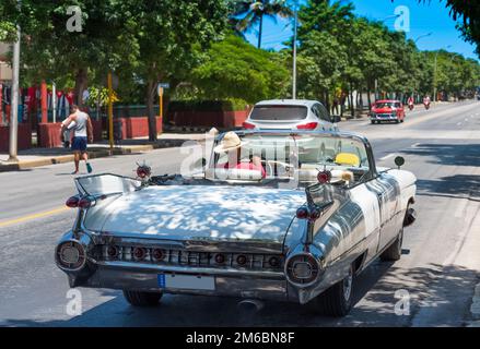 Amerikanischer weißer Cadillac-Klassiker caron die Straße in Varadero Cuba - Serie Kuba 2016 Reportage Stockfoto