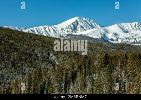 Schneebedeckter Quandary Peak (14.265 m), 10 Meilen Reichweite, vom Boreas Pass Trail, White River National Forest, in der Nähe von Breckenridge, Colorado, USA Stockfoto